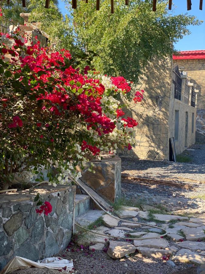 Uae Farm Villa Qur Luaran gambar