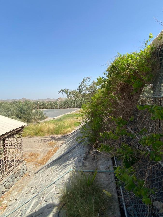 Uae Farm Villa Qur Luaran gambar