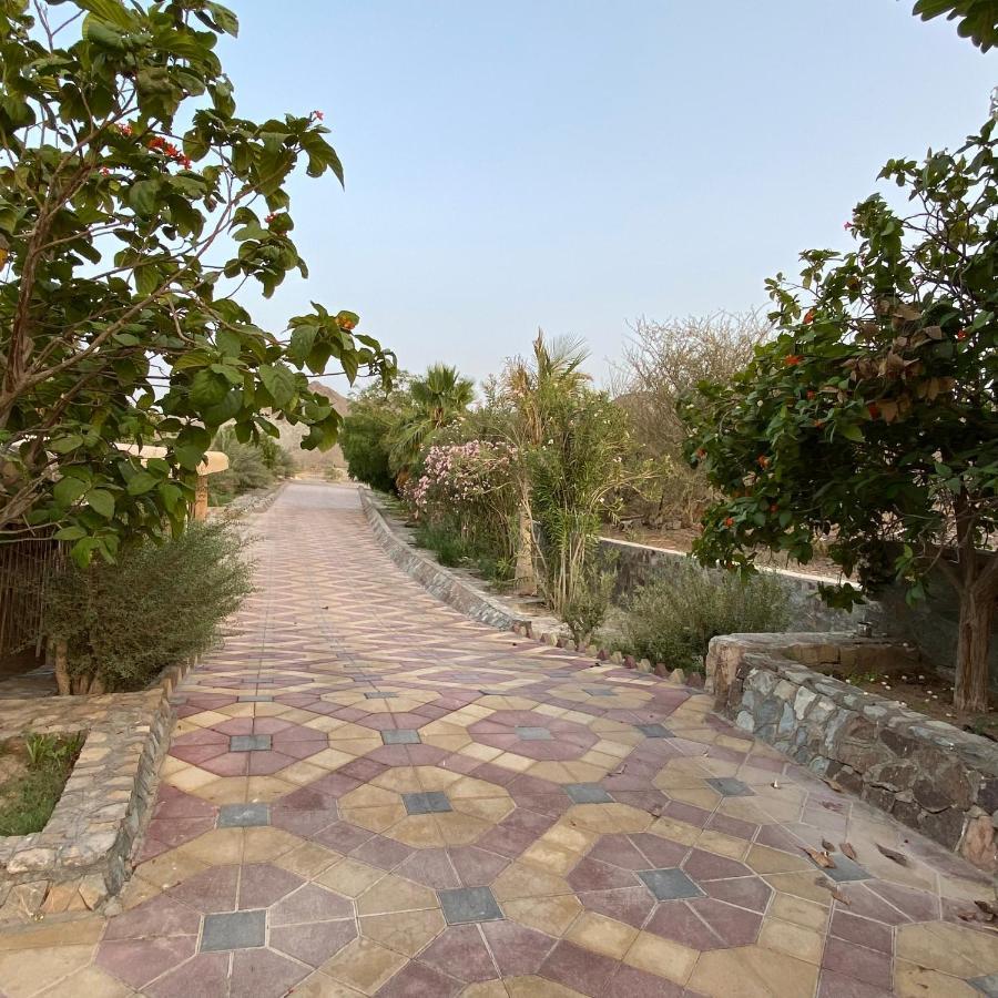 Uae Farm Villa Qur Luaran gambar